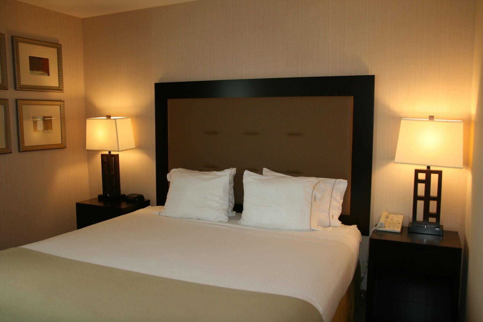 Holiday Inn Express Seattle - Sea-Tac Airport By Ihg SeaTac Dış mekan fotoğraf